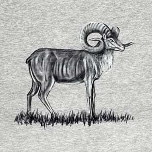 Mountain Sheep T-Shirt